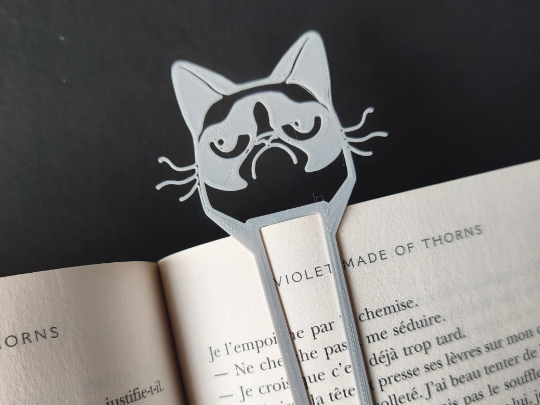 Signet Grumpy Cat