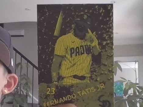 Fernando Tatis Jr. Card