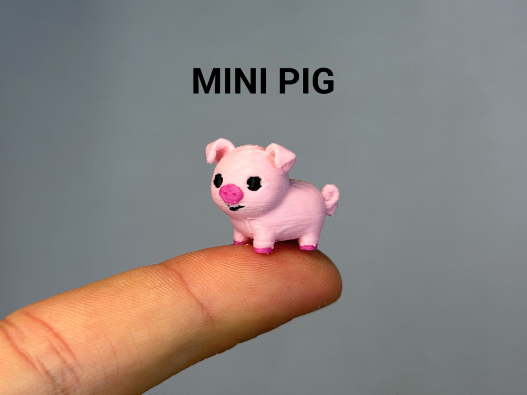 Mini Baby Pig