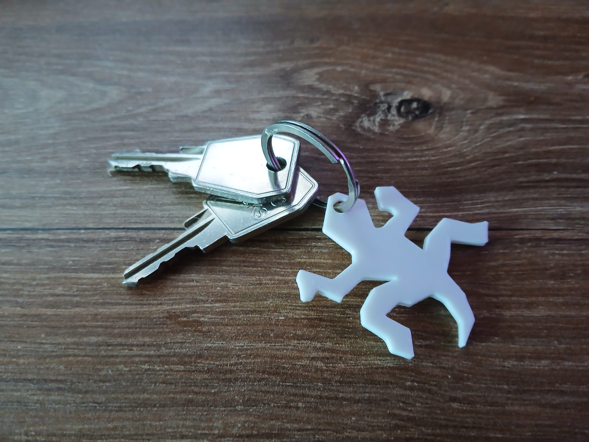M.C.Escher Lizzard Keychain