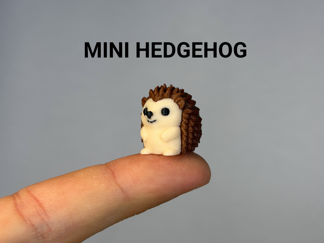 Mini Baby Hedgehog