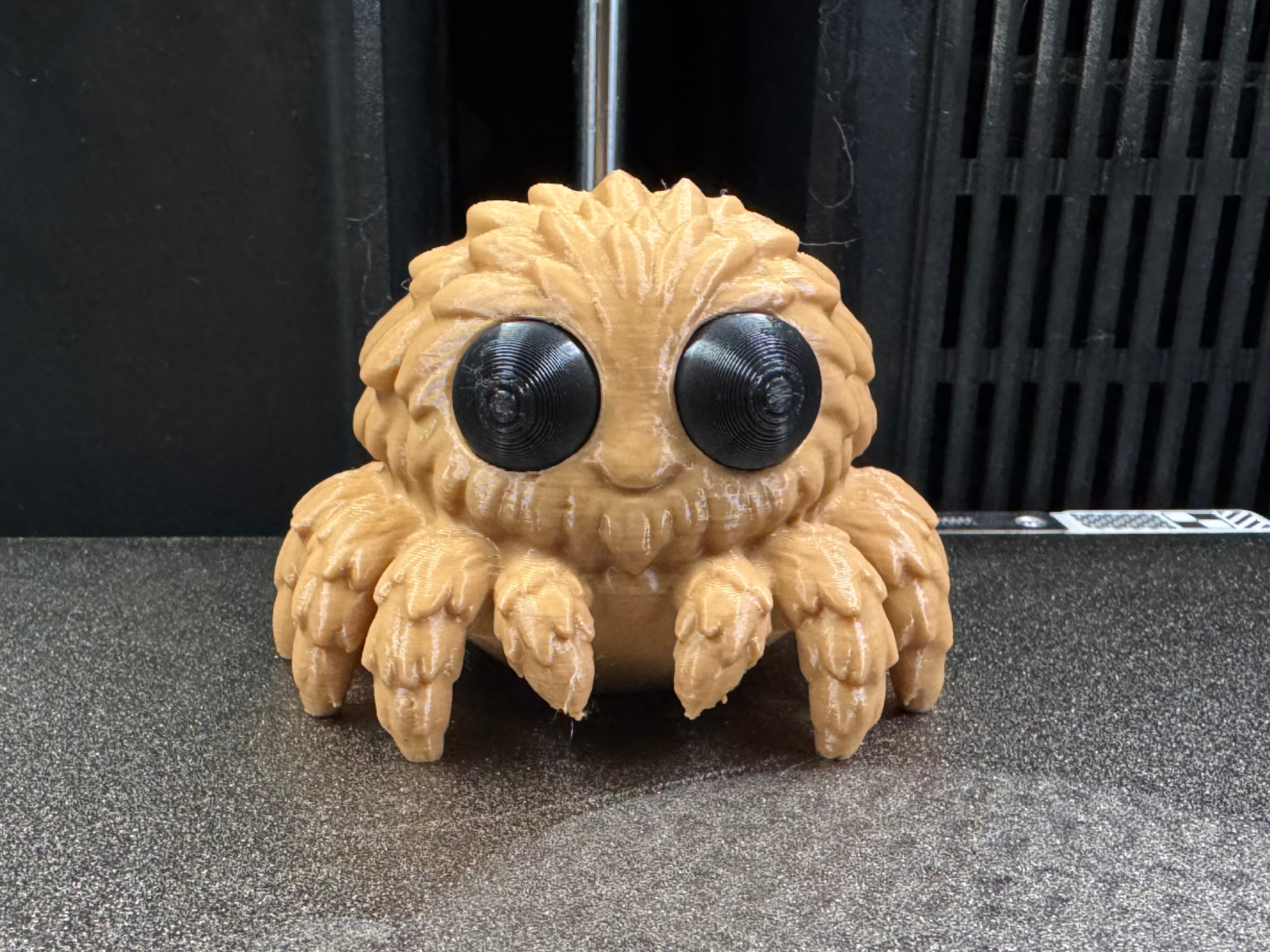 Jumping Spider