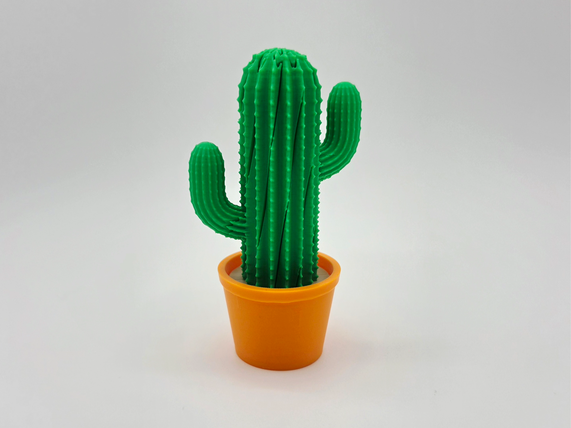 Cactus Twist Fidget