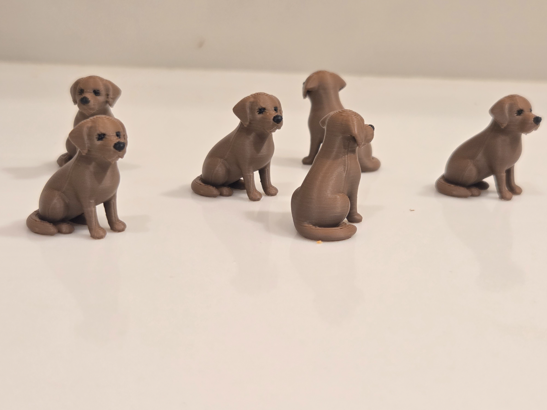 Labrador Retriever Mini