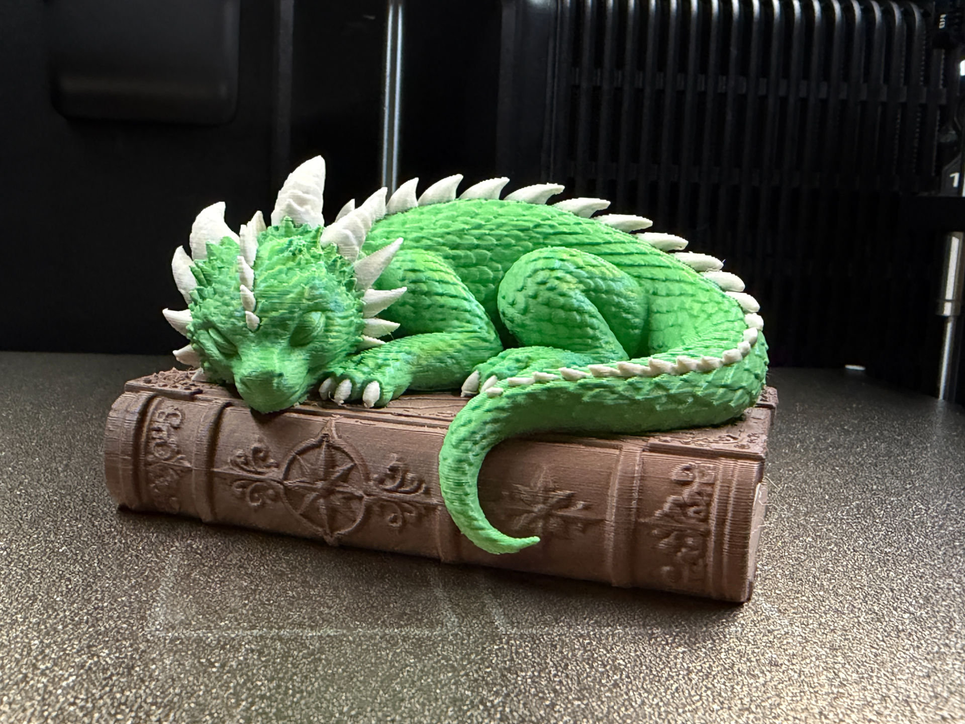 Sleeping Dragon on an Book 