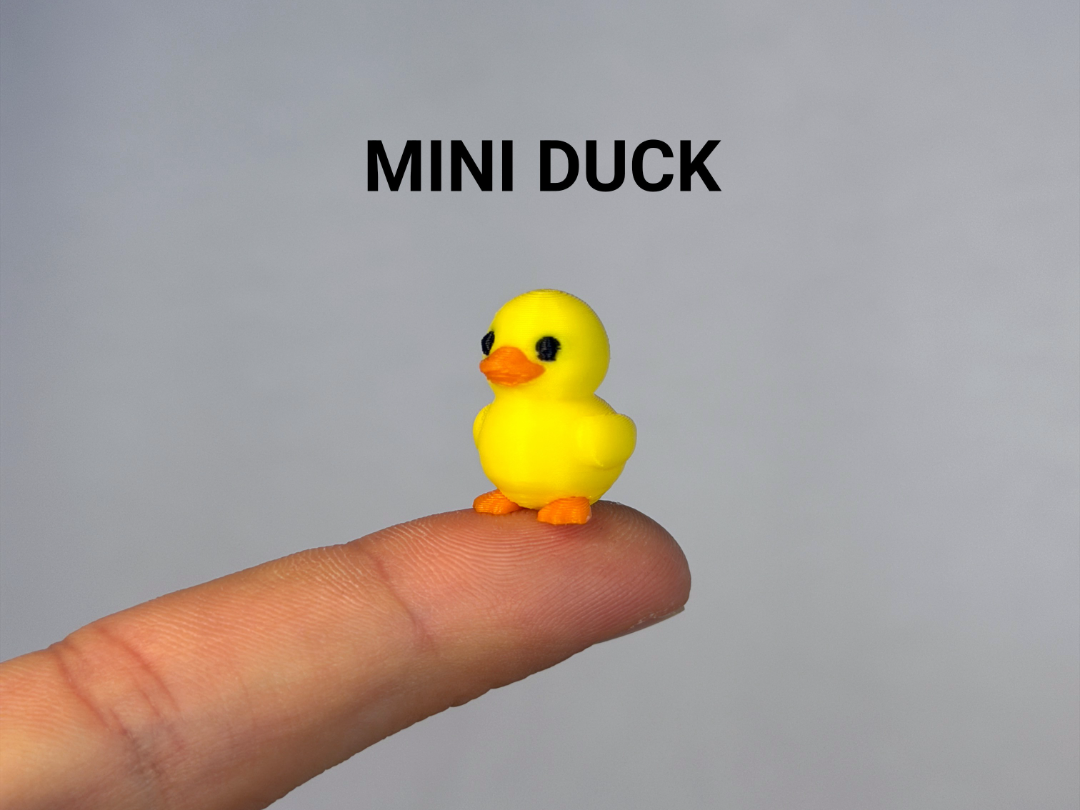 Mini Baby Duck