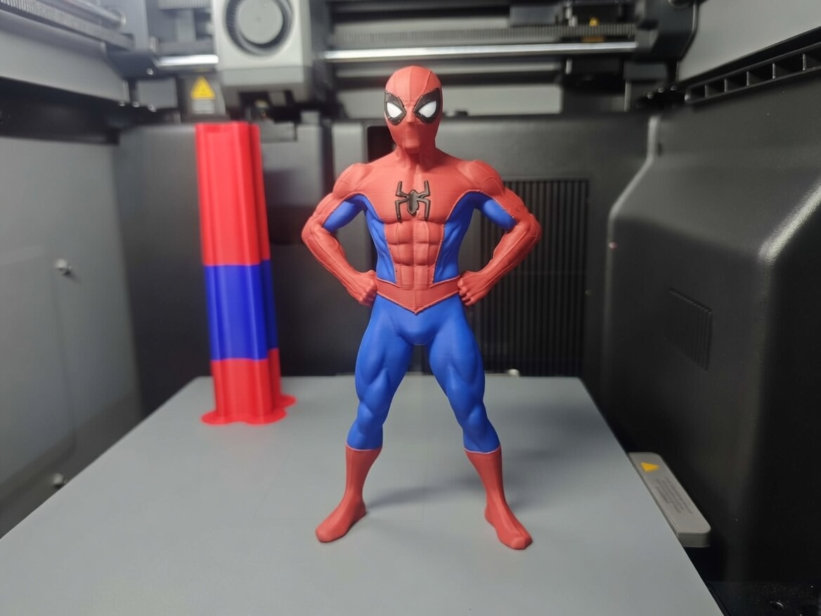 spiderman  multicolor