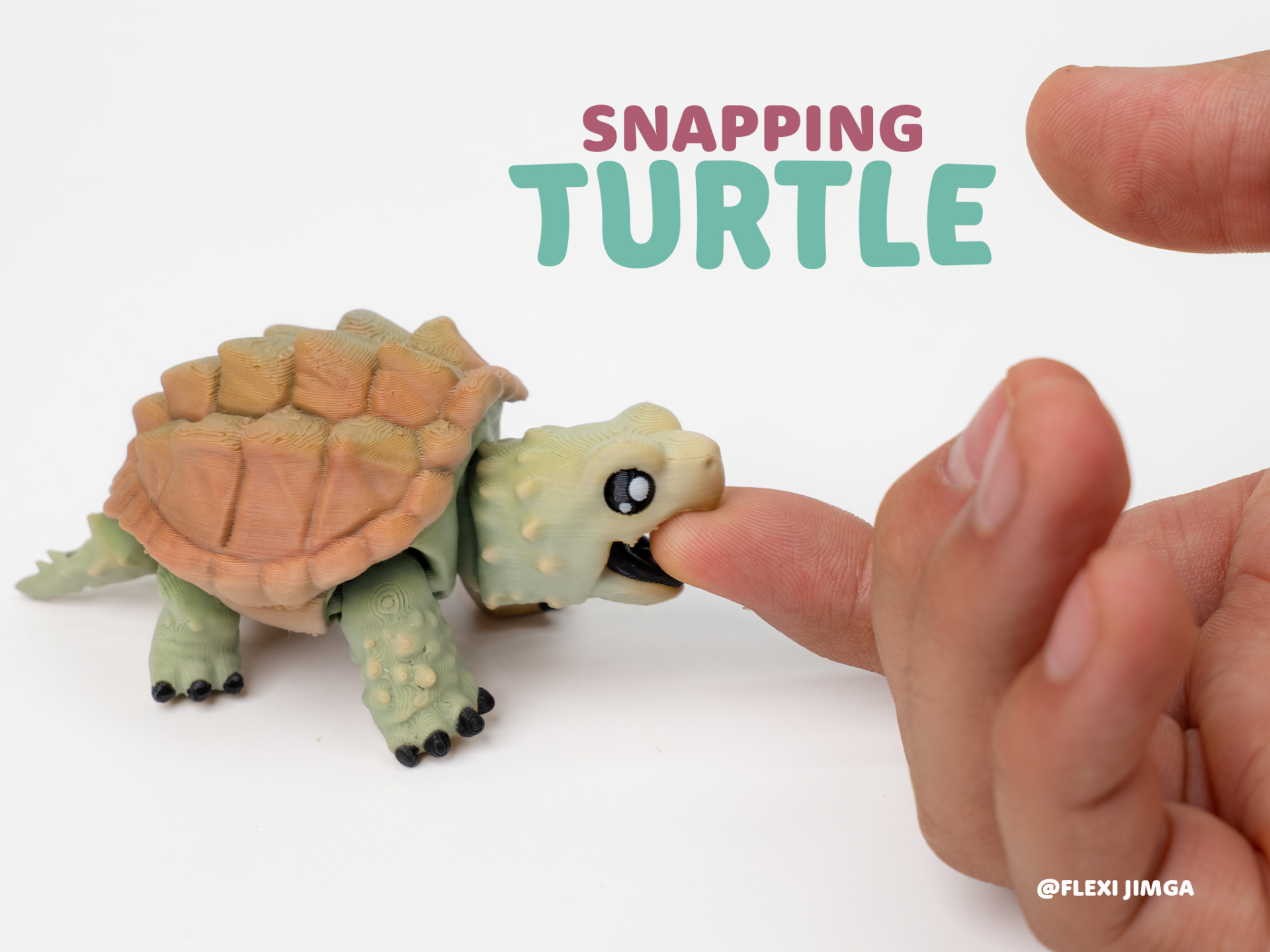 Flexi Alligator Snapping Turtle & Keychain