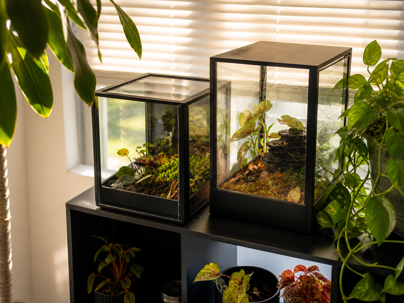 Ikea kallax terrarium 