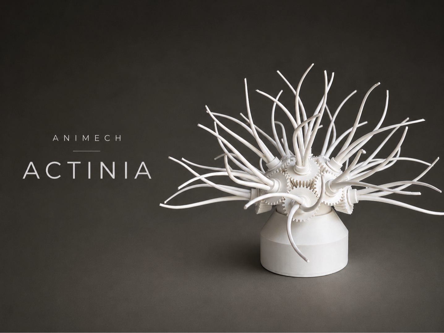 ANIMECH Actinia - Kinetic Gear Anemone