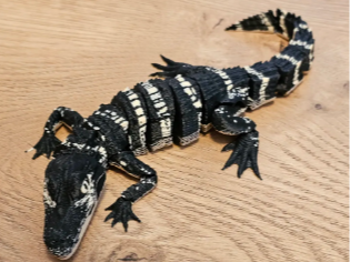 American_baby_alligator