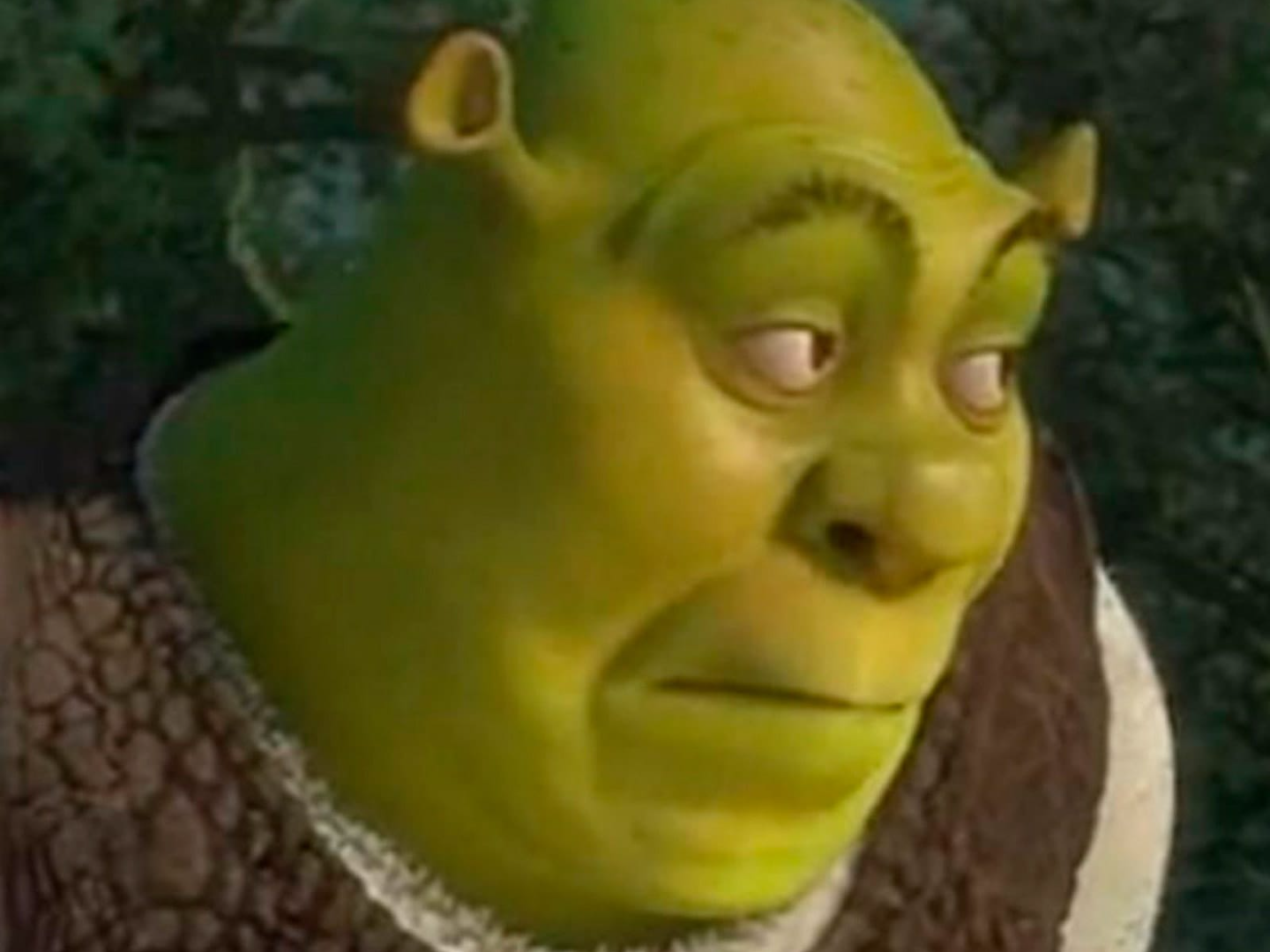 Shrek_AMAZING