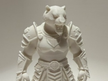 Tiger Knight