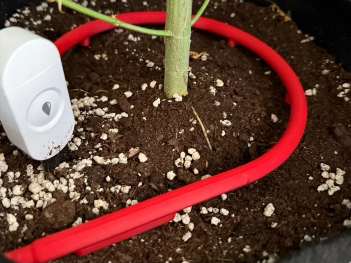 Bewässerungsring 6mm für kleinere Pumpen