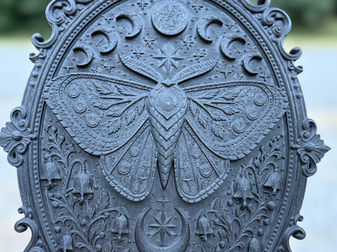 Moth and Moon Phases Frame
