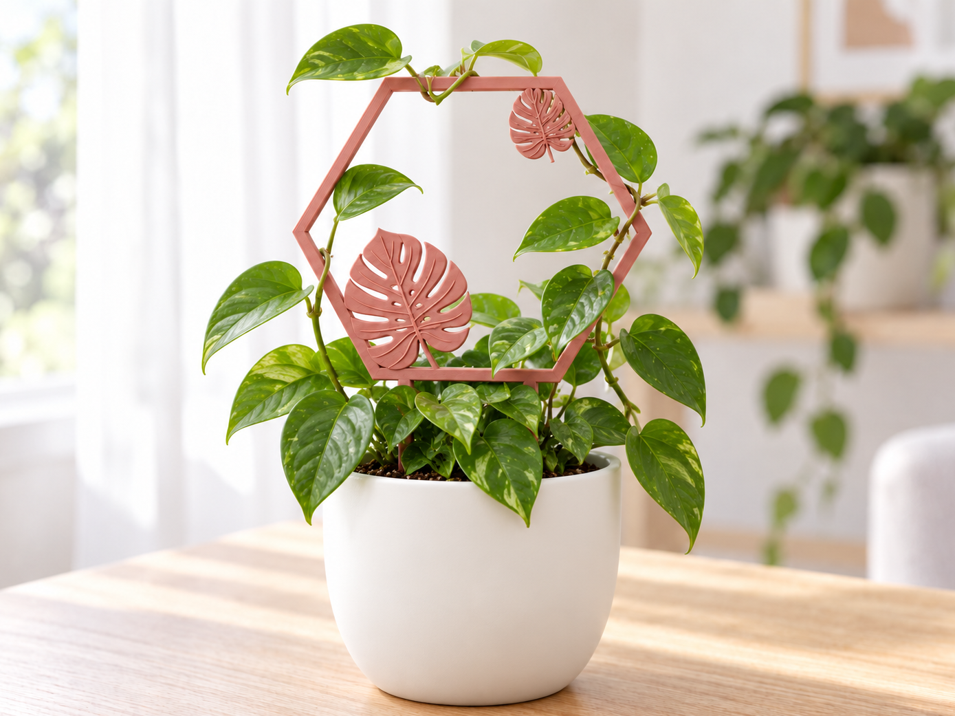 Monstera Hexagon Plant Trellis – 3 Sizes