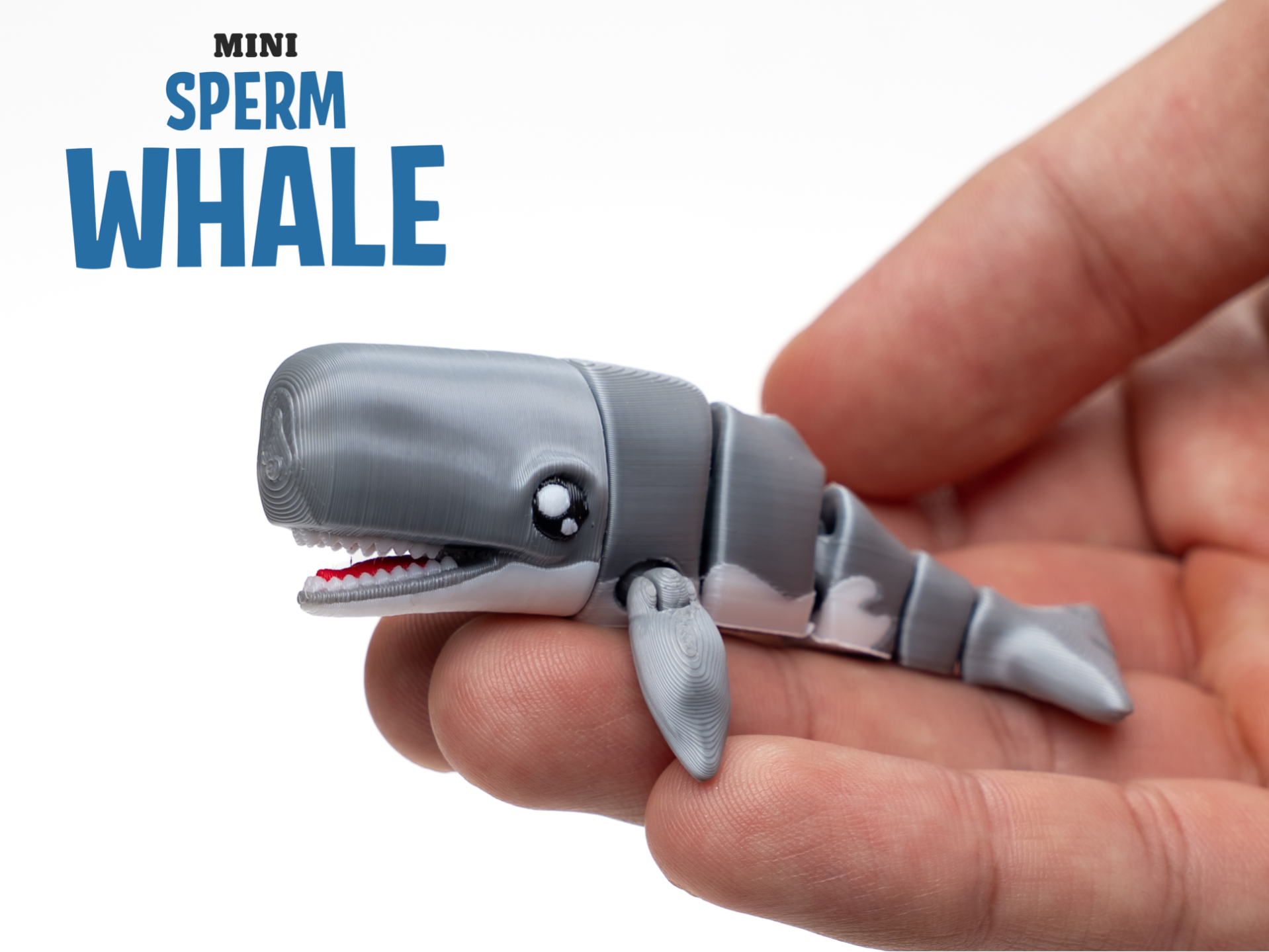Flexi sperm Whale & Keychain