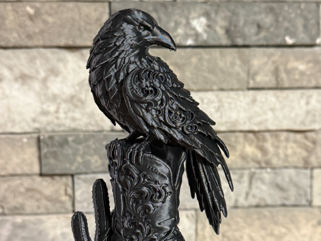 Raven on Boot