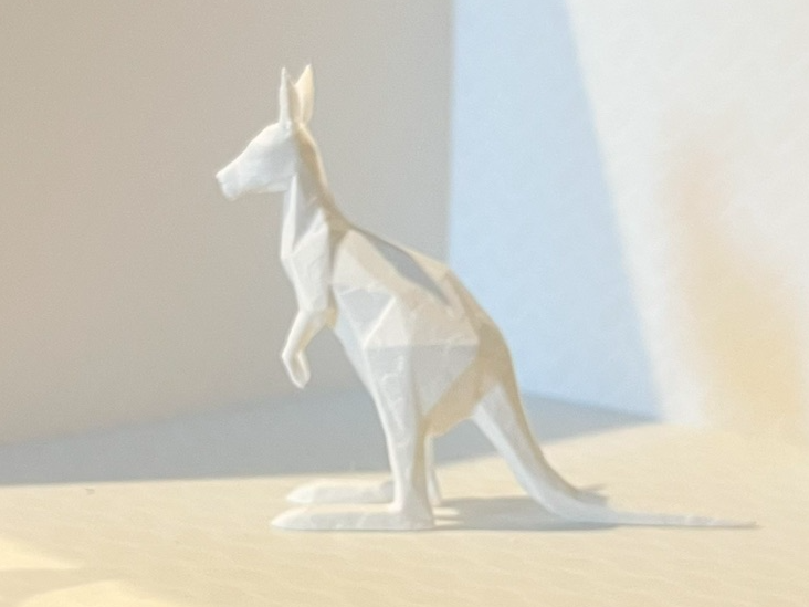 Geometric Kangaroo