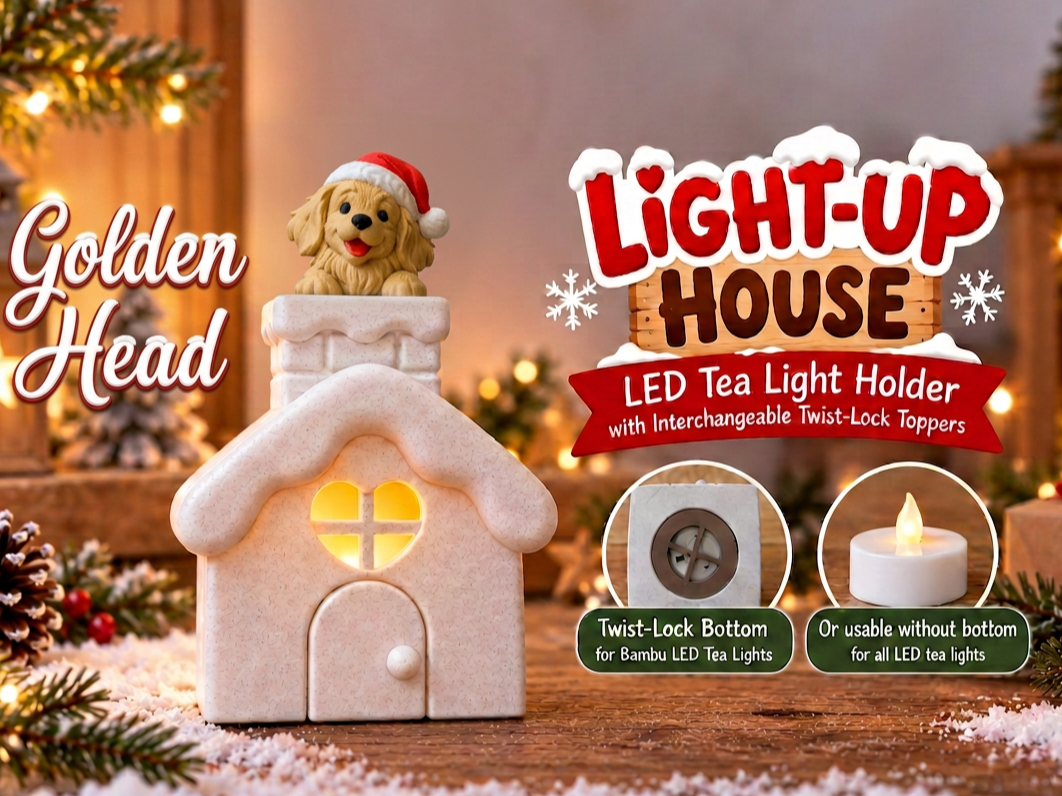 Golden Peeking Light-Up House