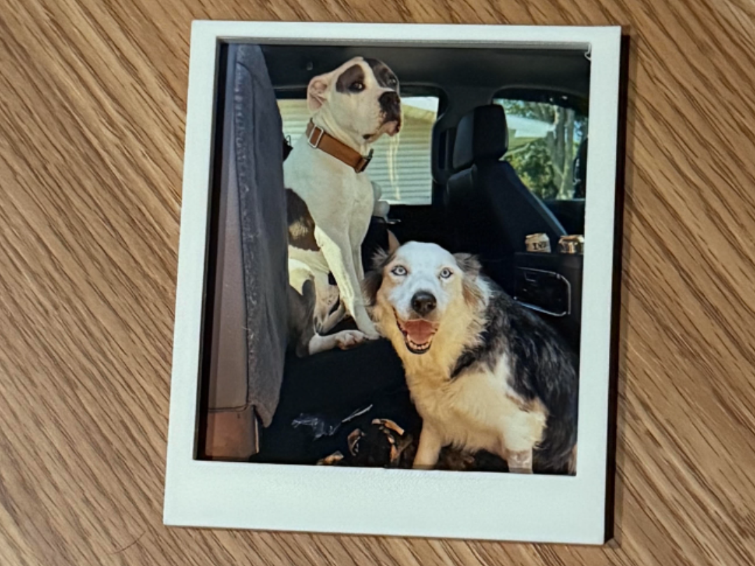 Polaroid Frame