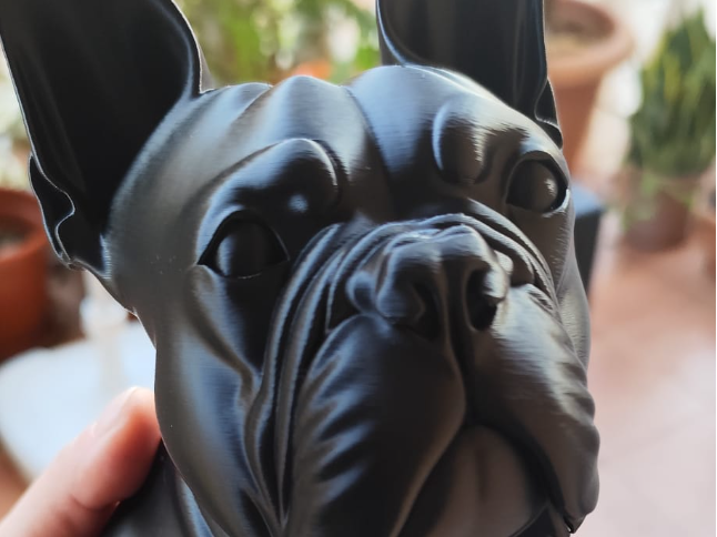 Busto personalizado bulldog