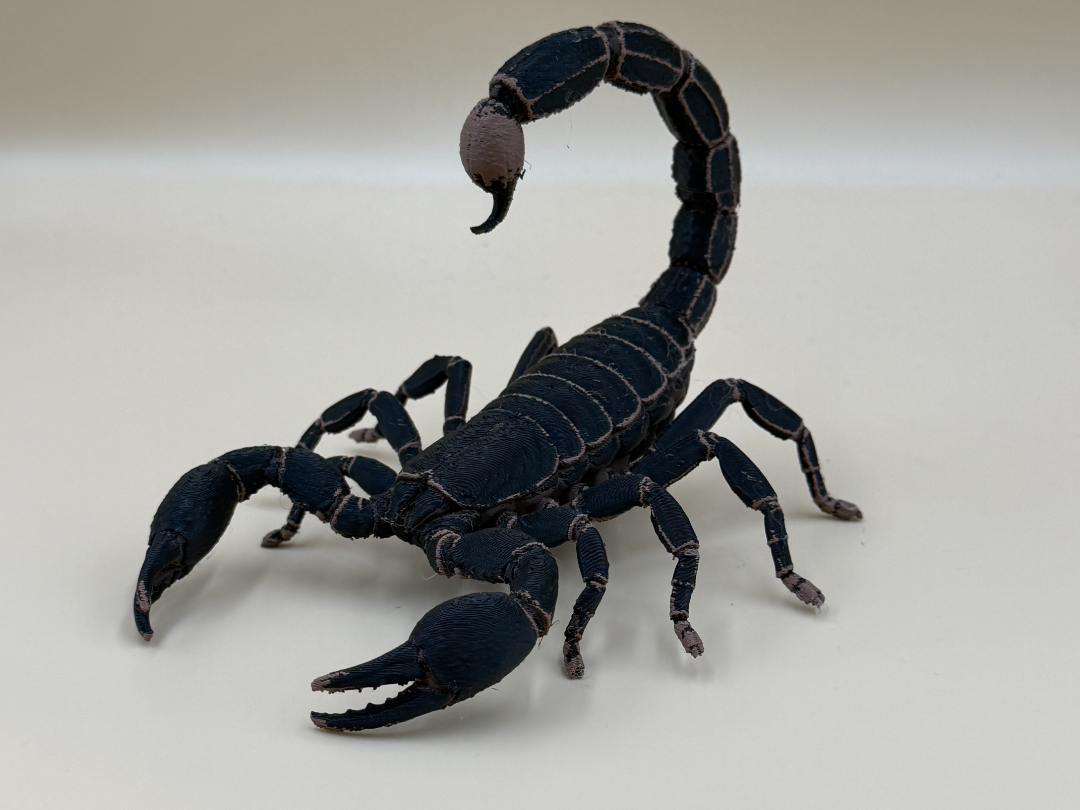 Midnight Stalker Scorpion