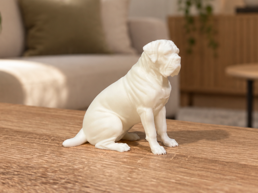 Bullmastiff - Sitting - Animal - Dog