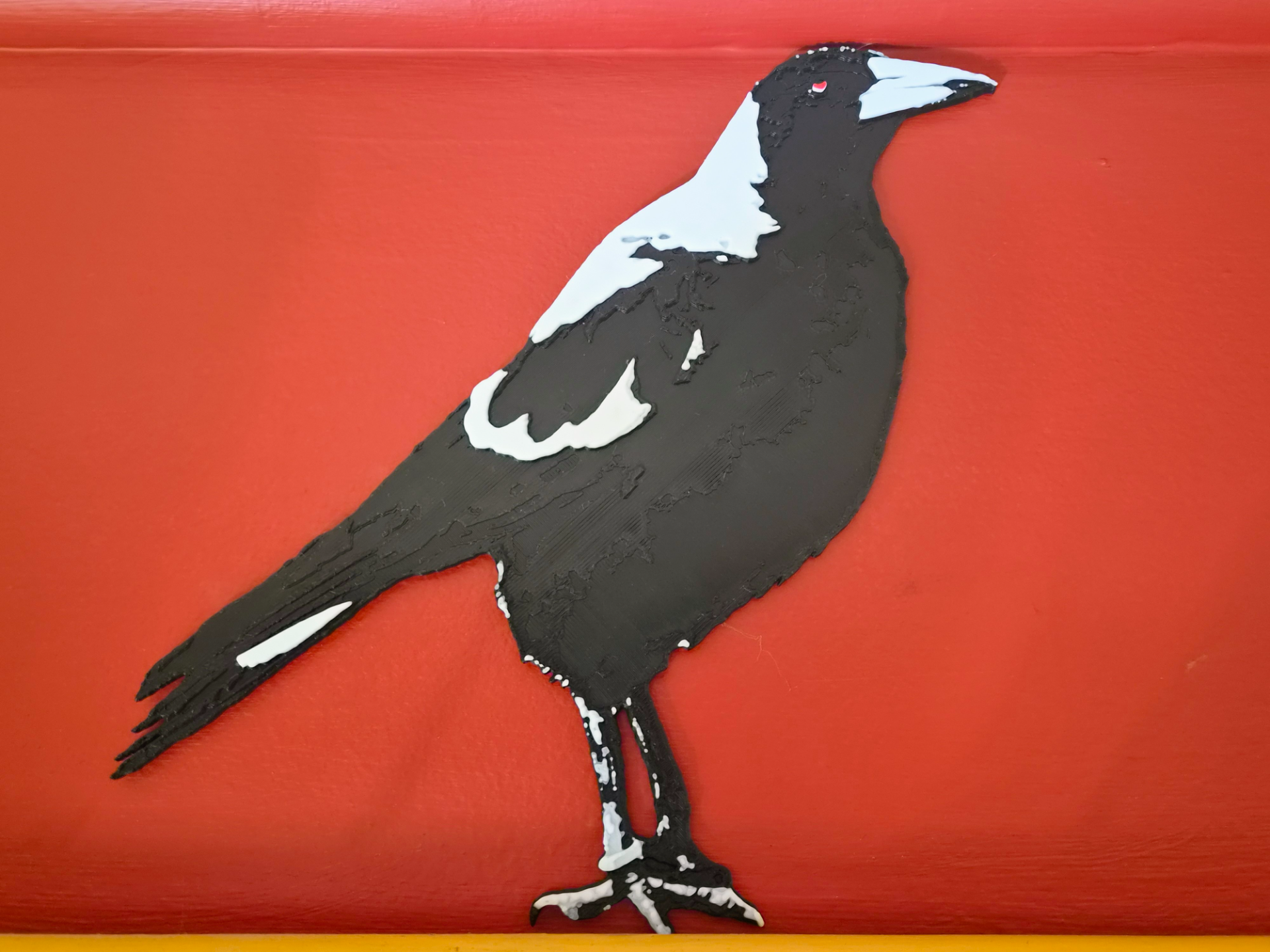 Australian Magpie Wall Art
