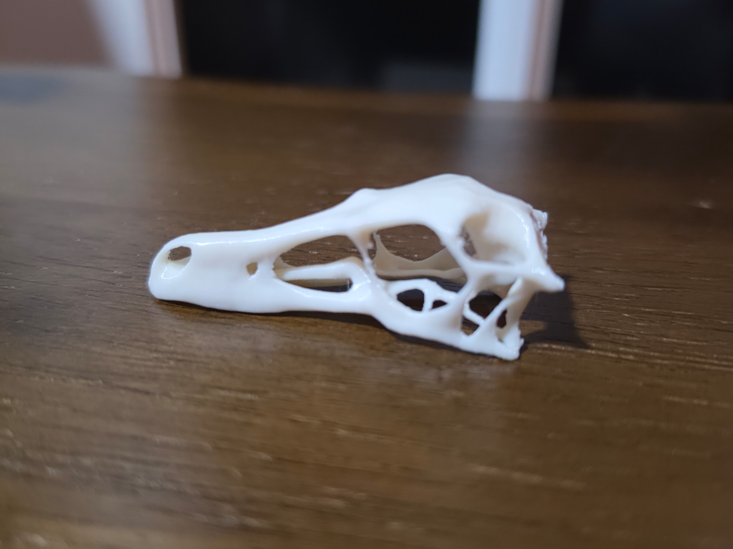 Raptor skull low poly