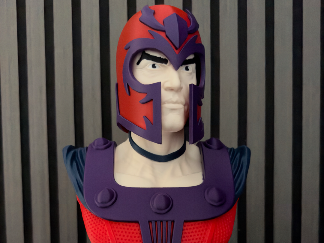 Magneto Bust