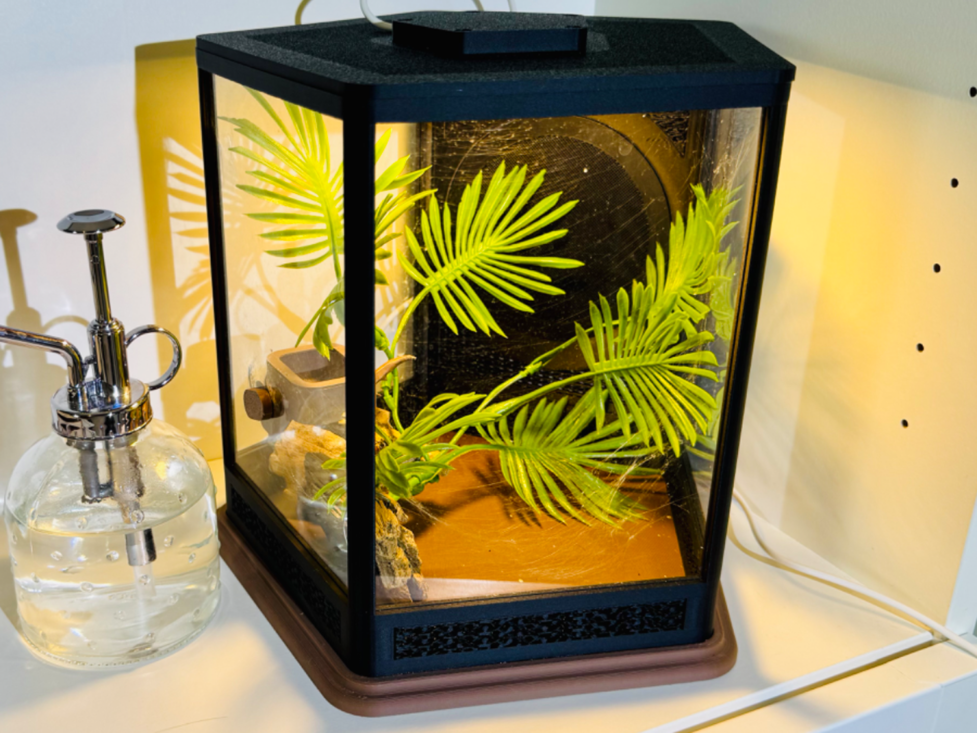 Jumping Spider Terrarium Enclosure (Large 5 Sided)