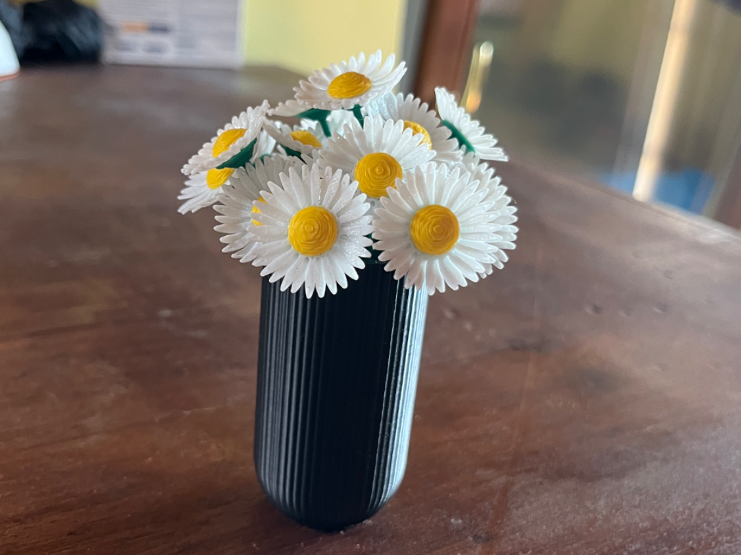 real daisies illusion