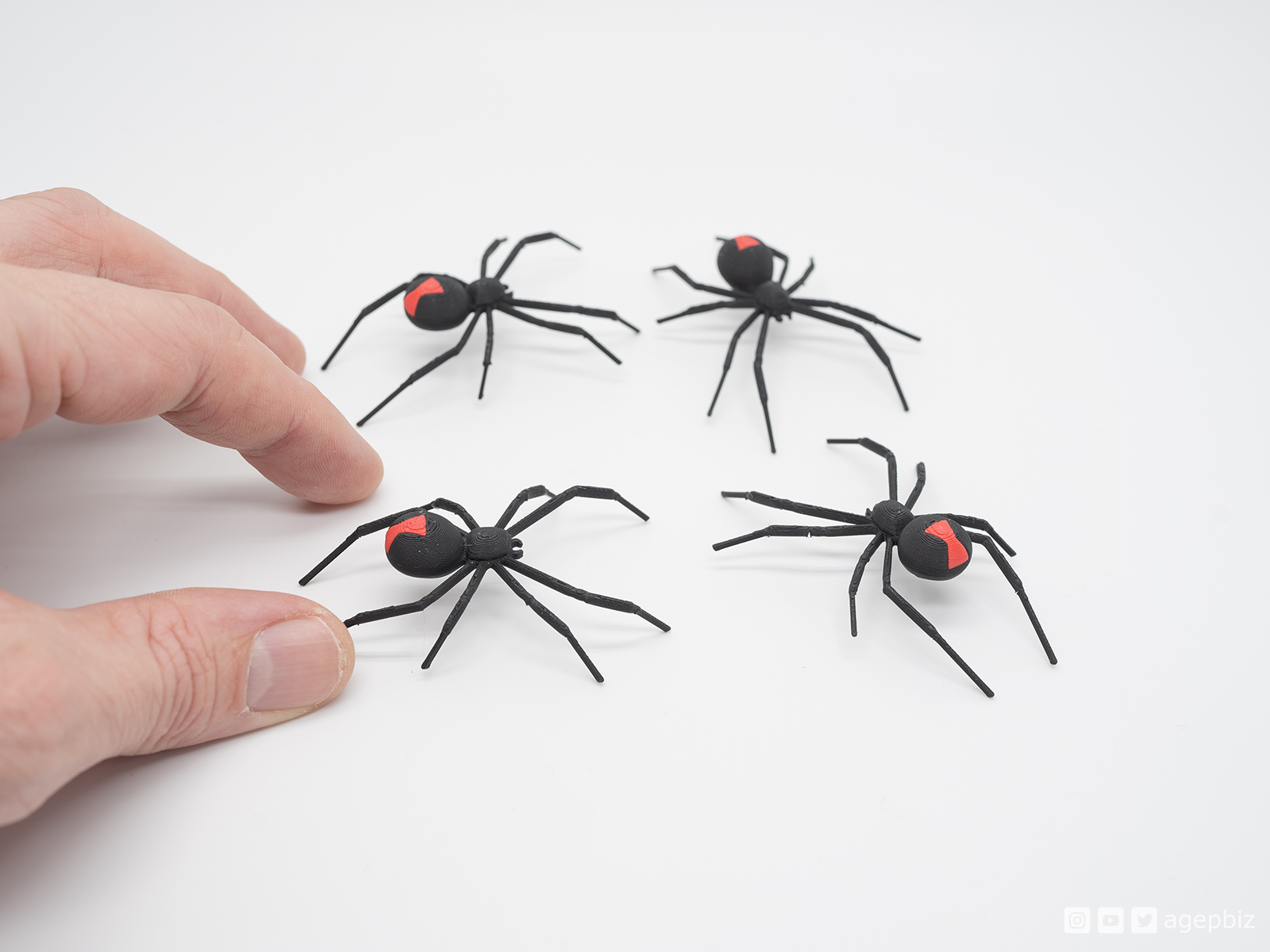 Dual Color Spider