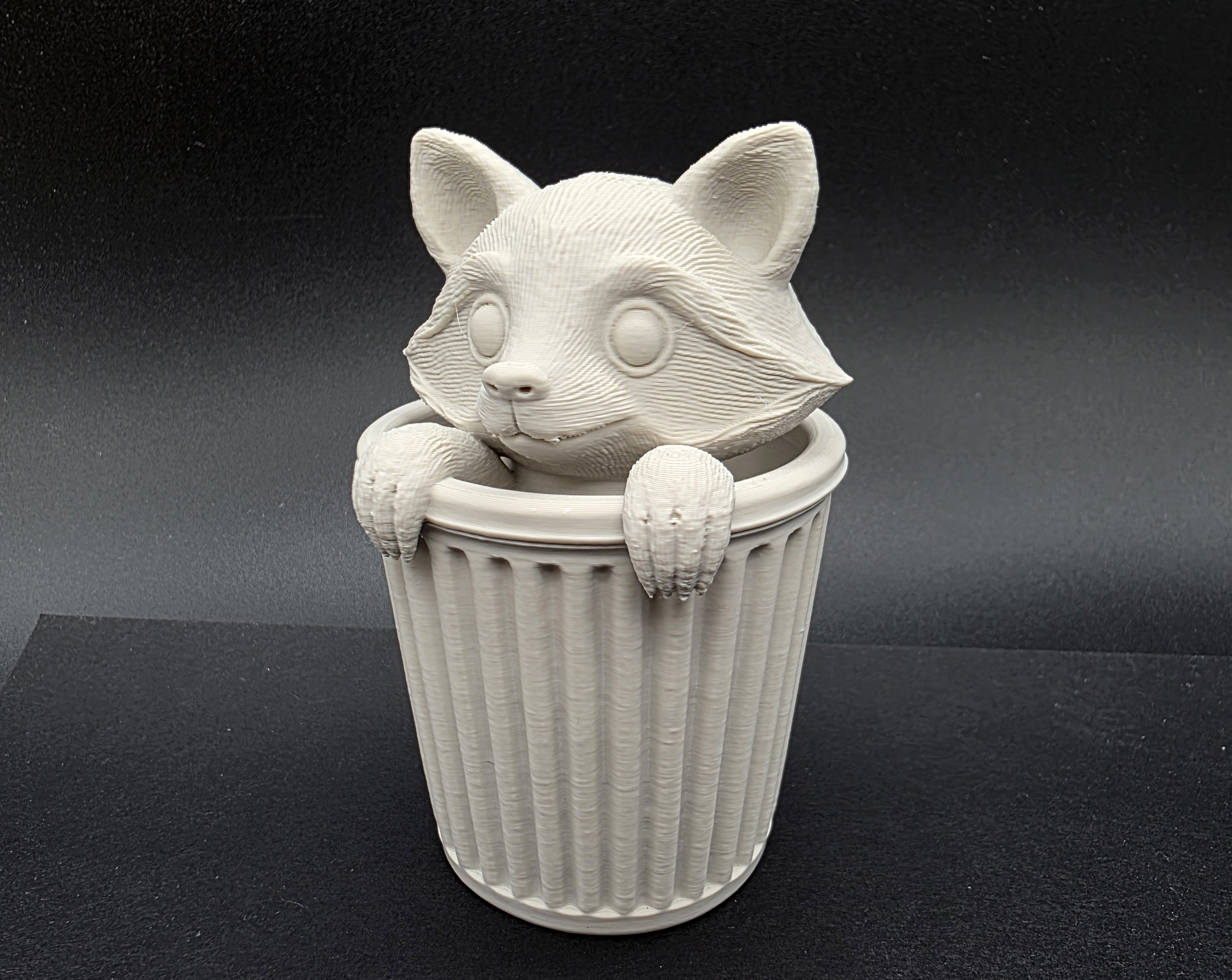 Trash Panda (Raccoon)