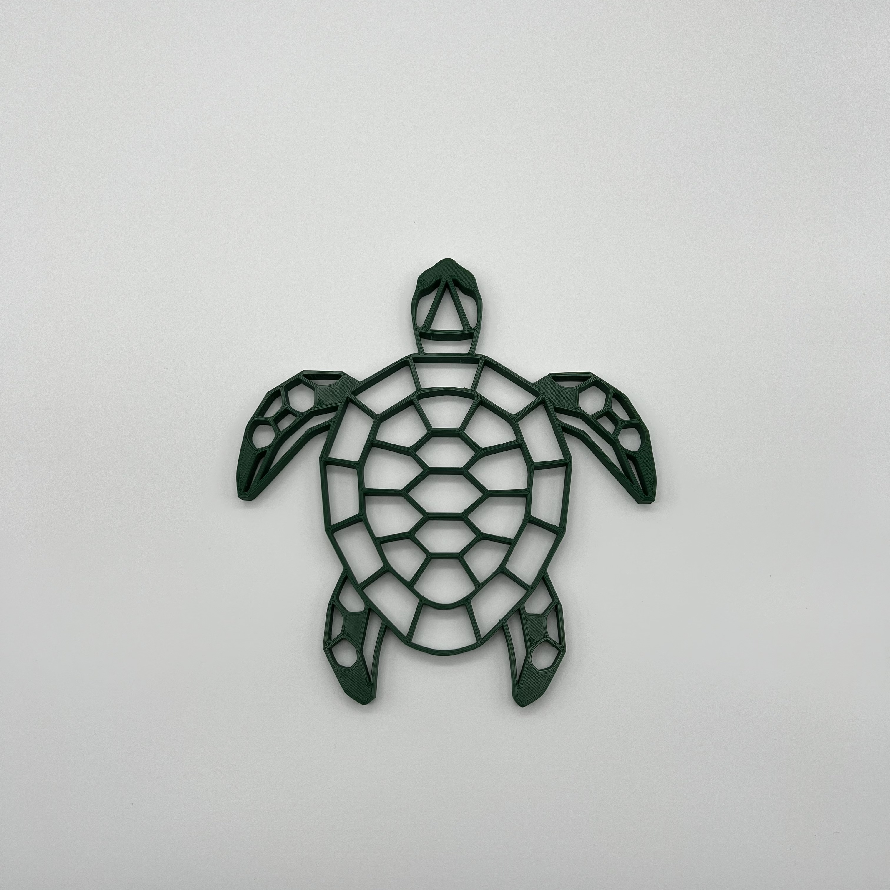 Geometric Sea Turtle