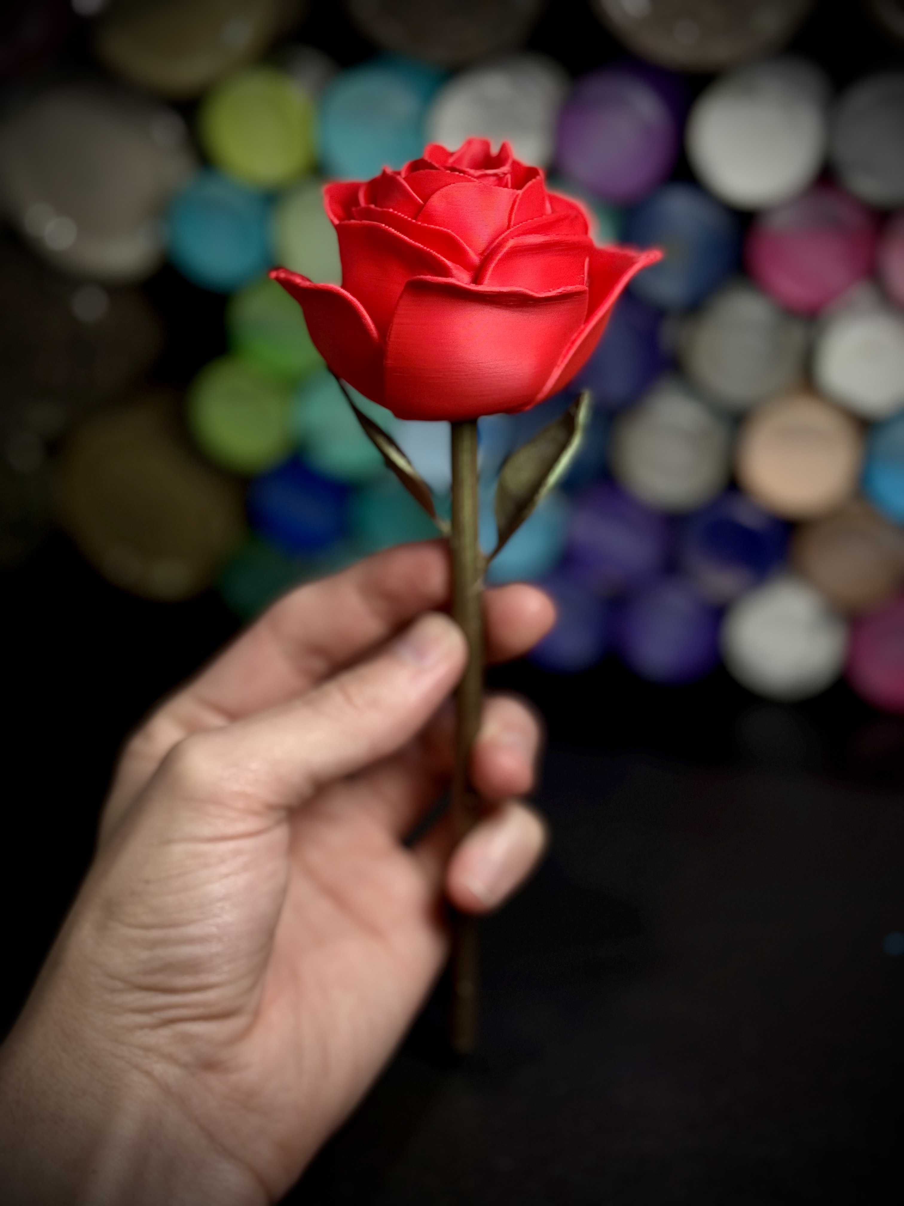 Rose