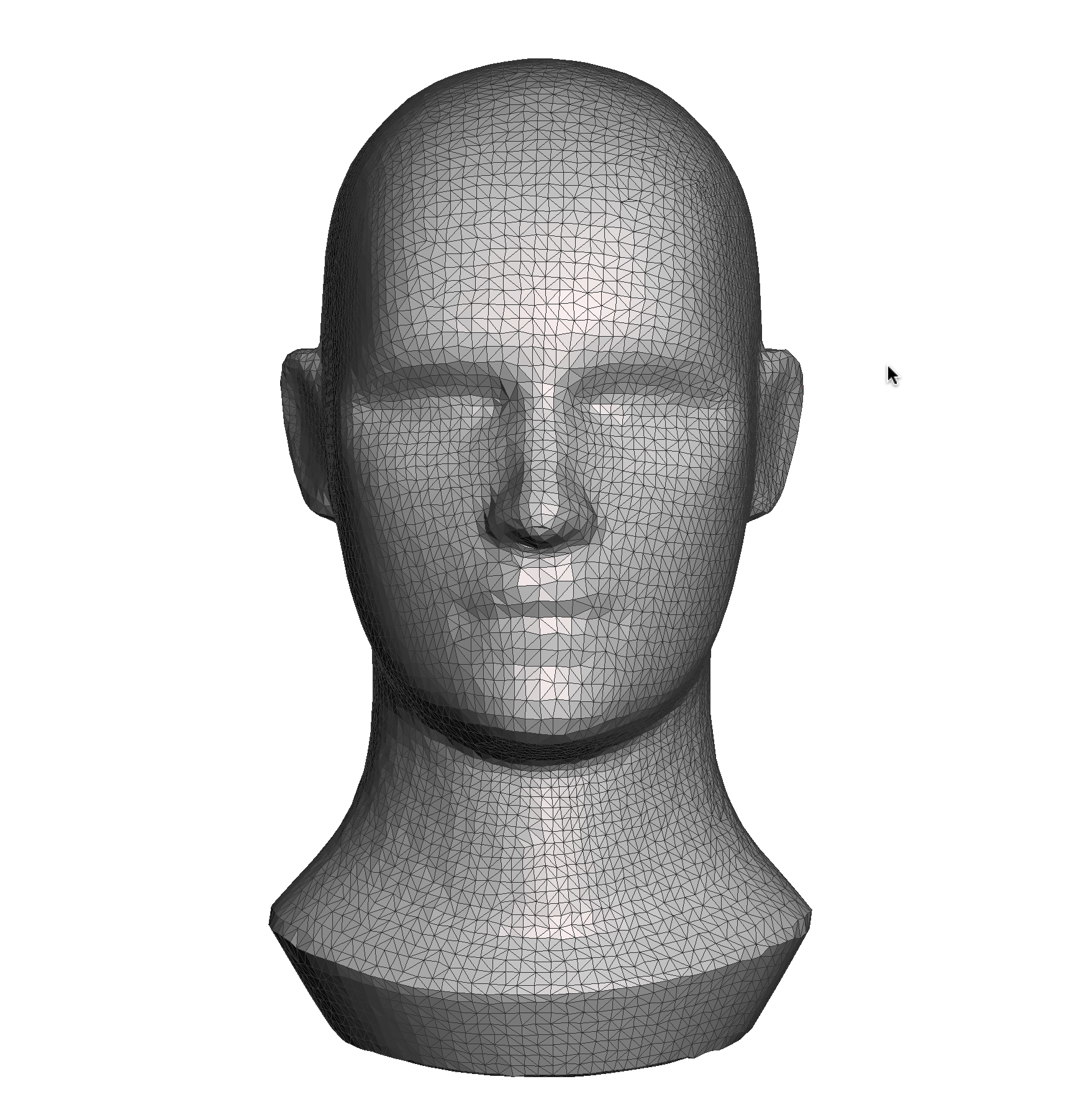 Human head