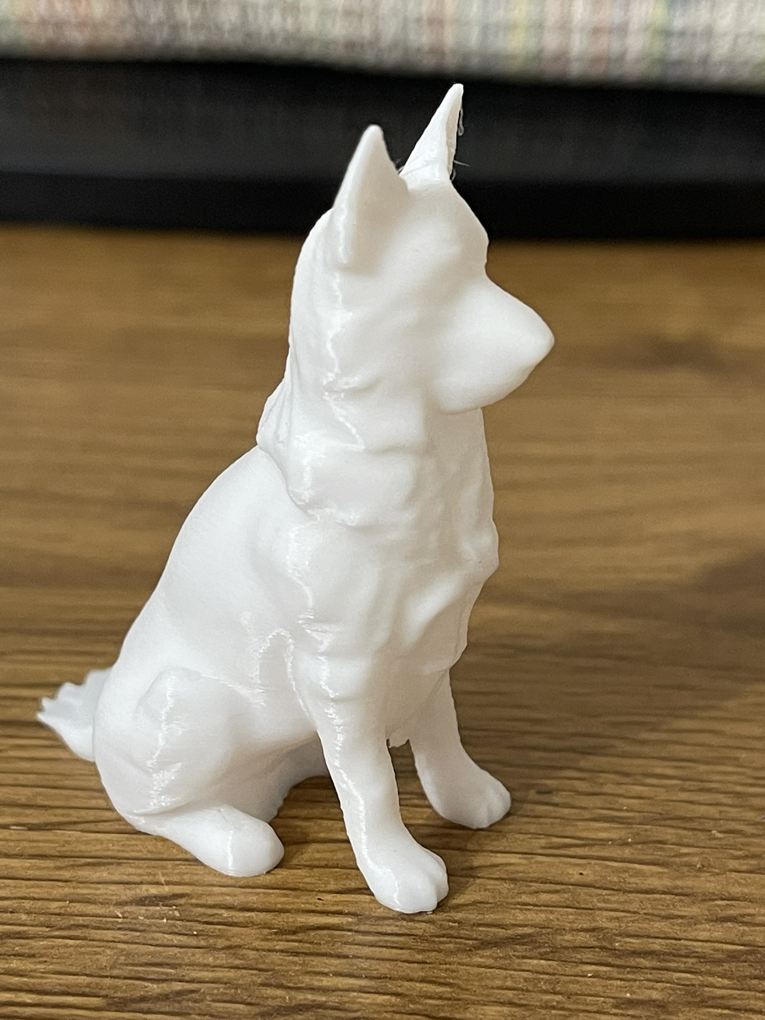 Sitting Dog