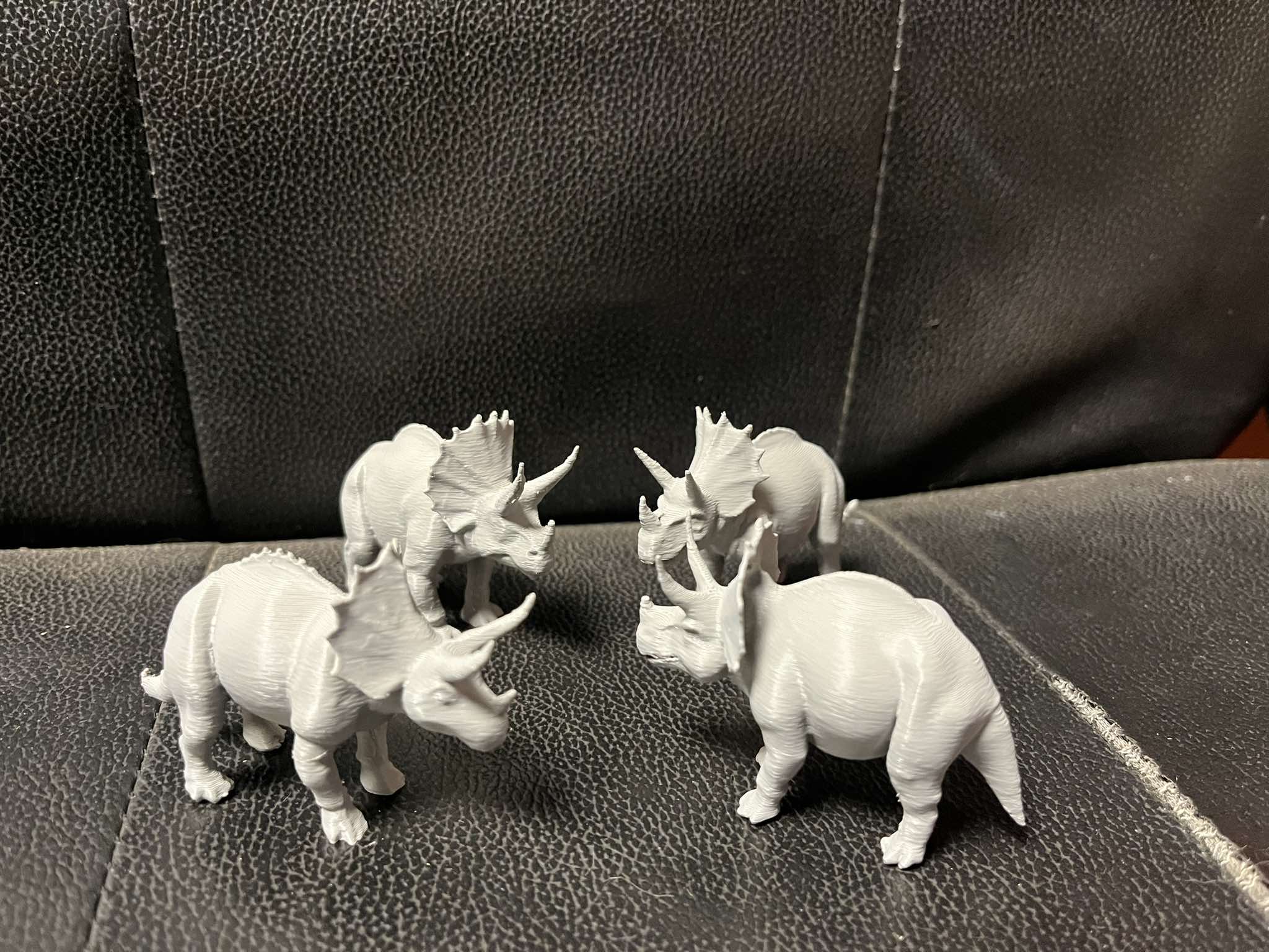 Triceratops dinosaur