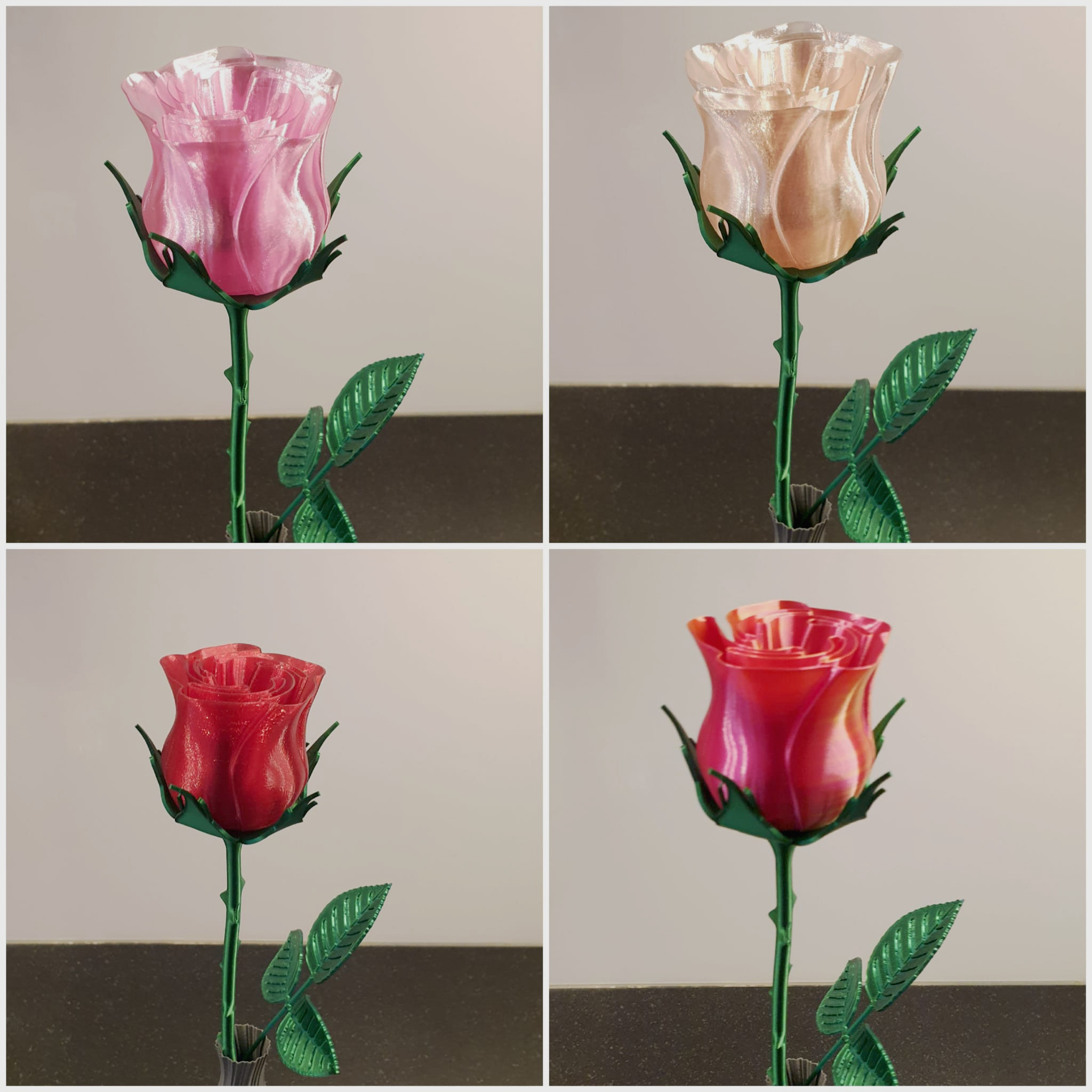 XL Stem for Rose - possibility of changing flower colors