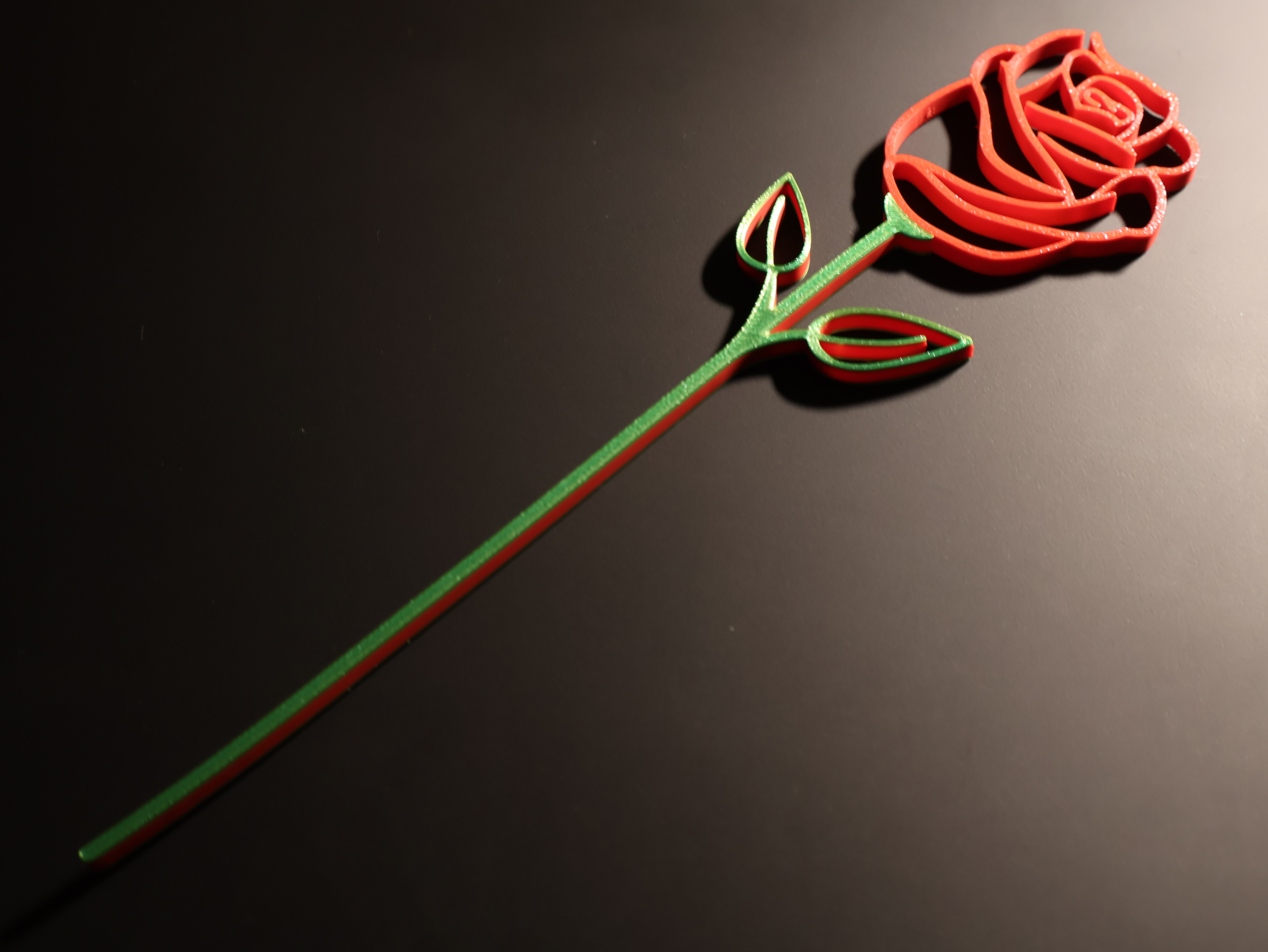 Valentines Rose - Drak