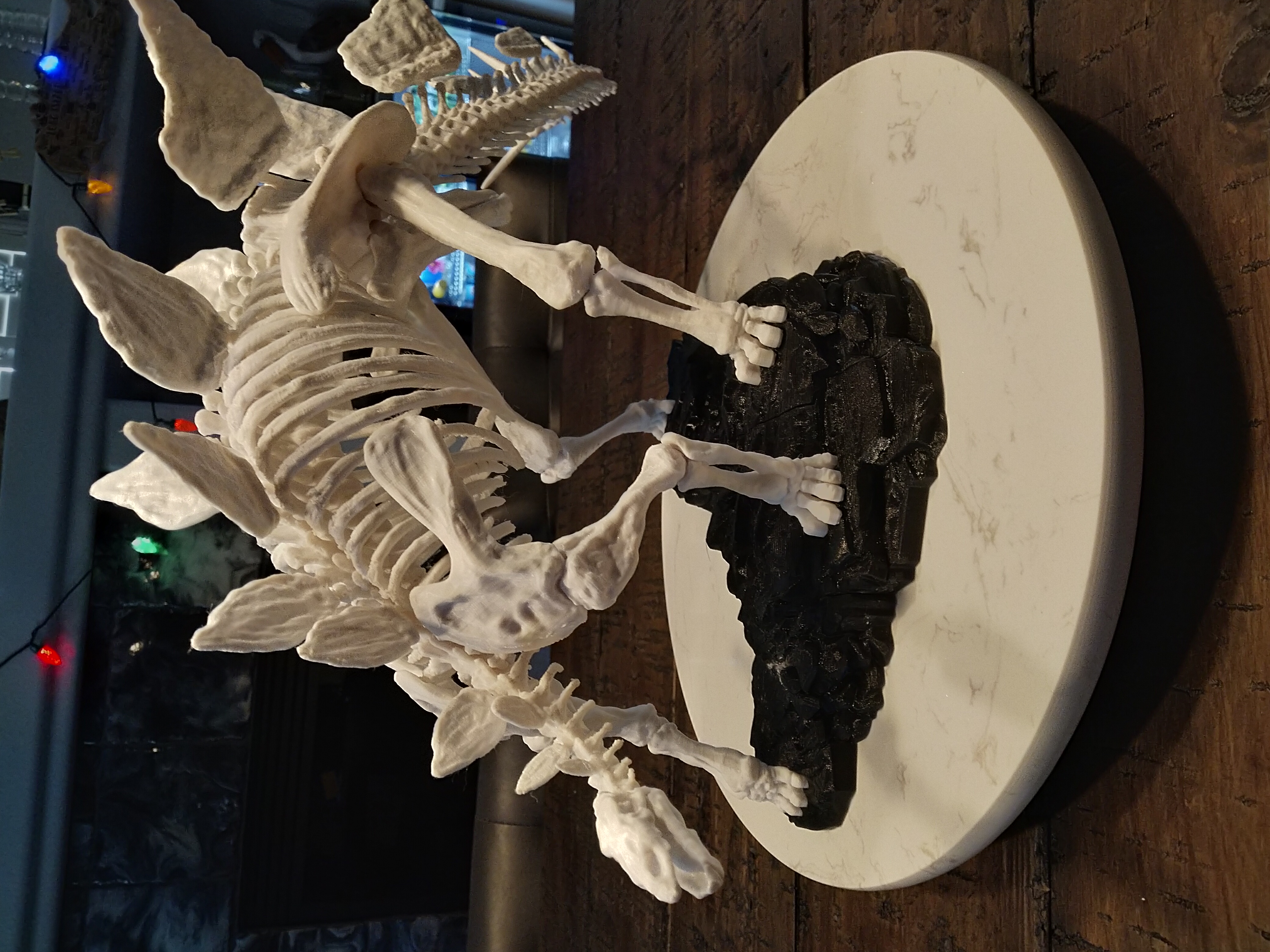 Stegosaurus Skeleton