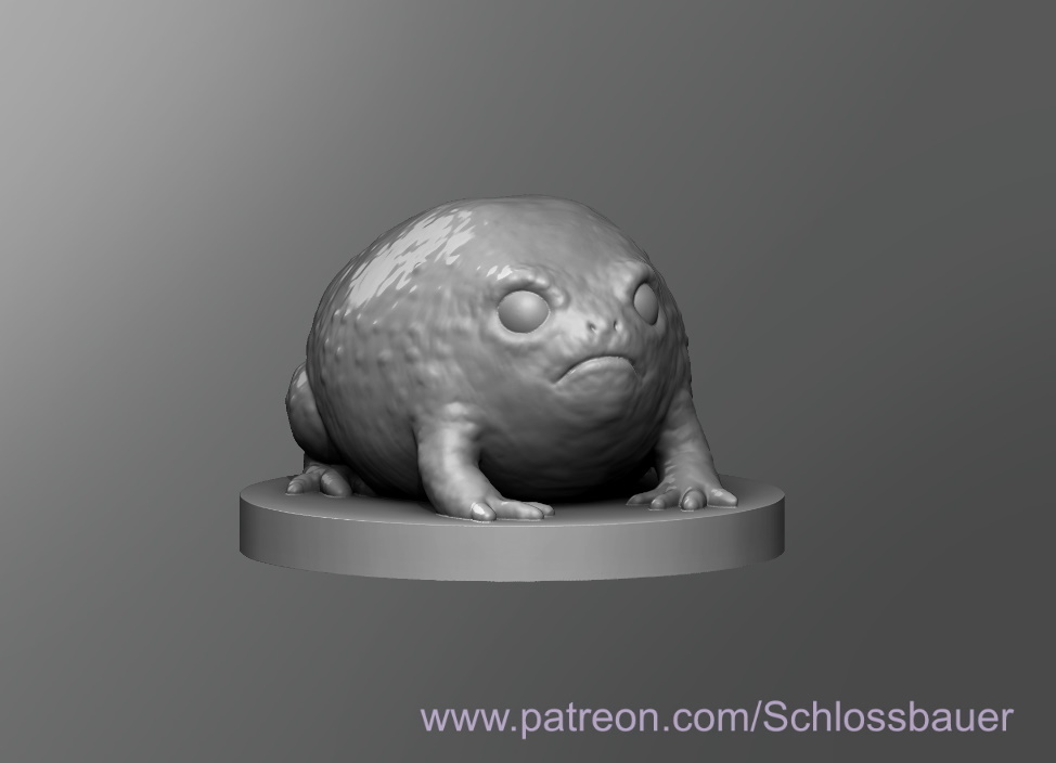 Desert Rain Frog