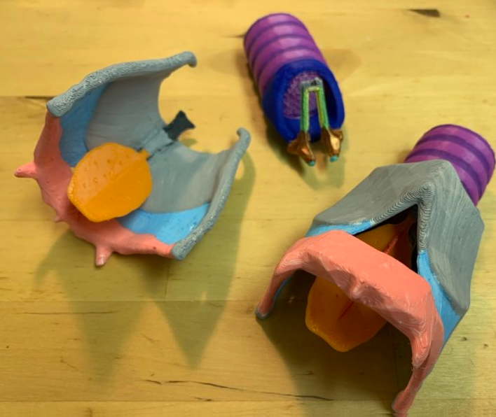 Larynx in Parts Easier Print