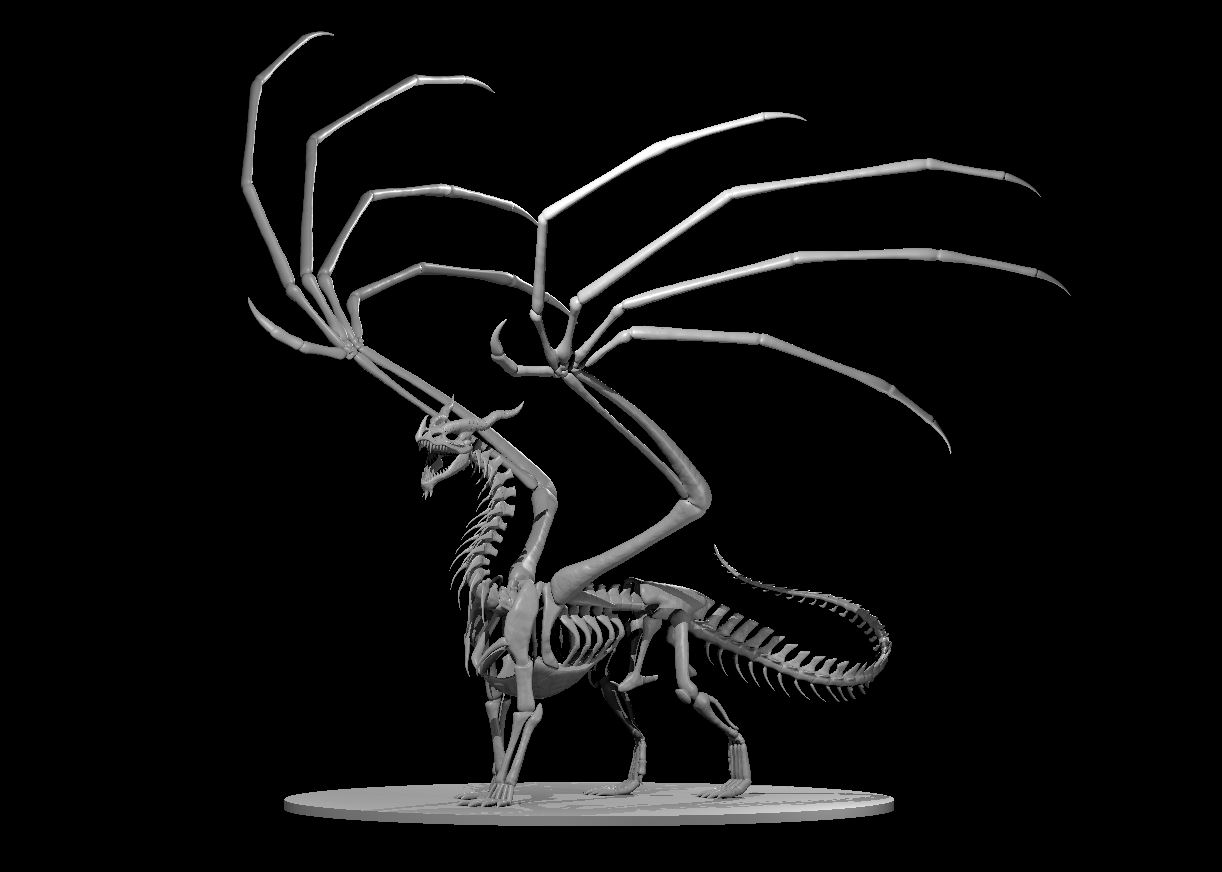 Dragon Skeleton