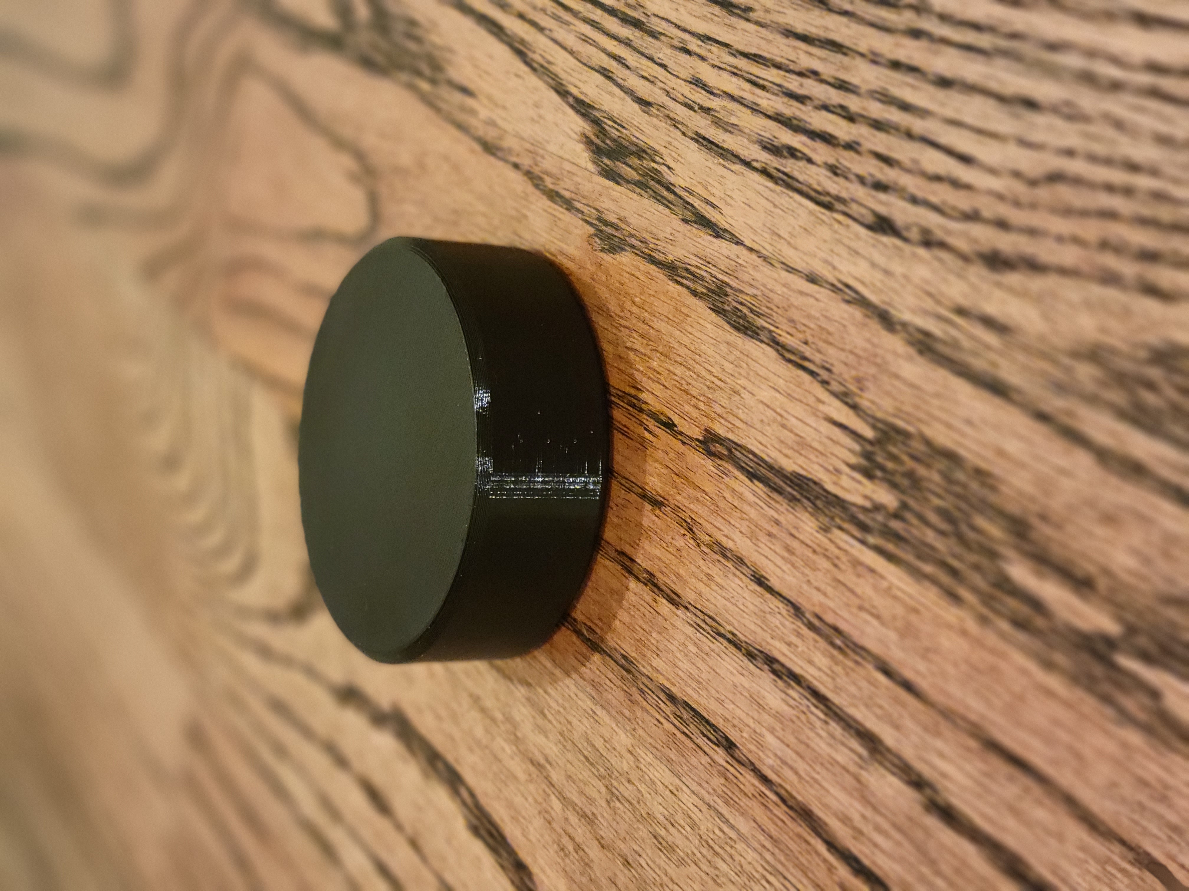 Hockey Puck