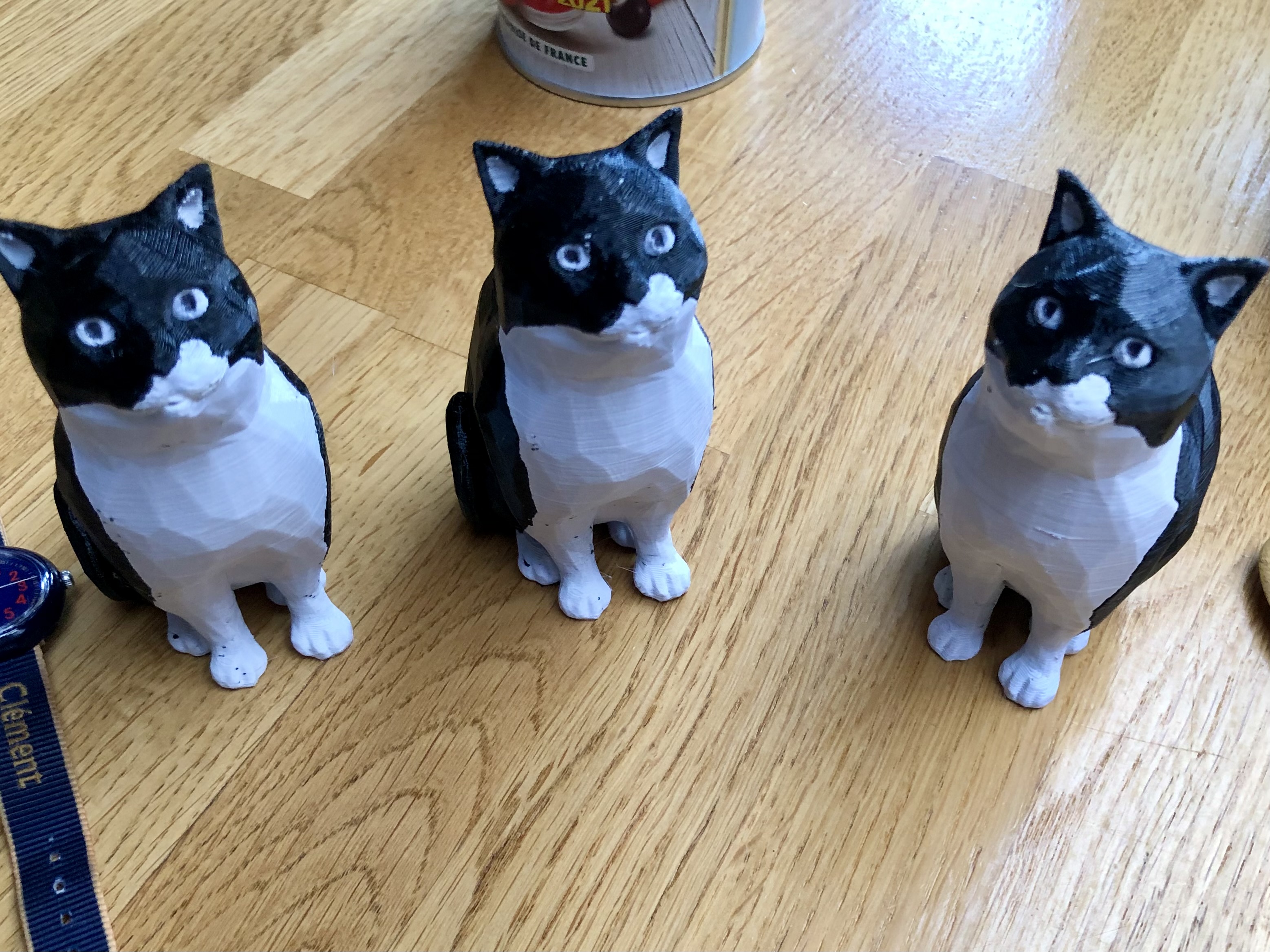 Bicolor low-poly cat