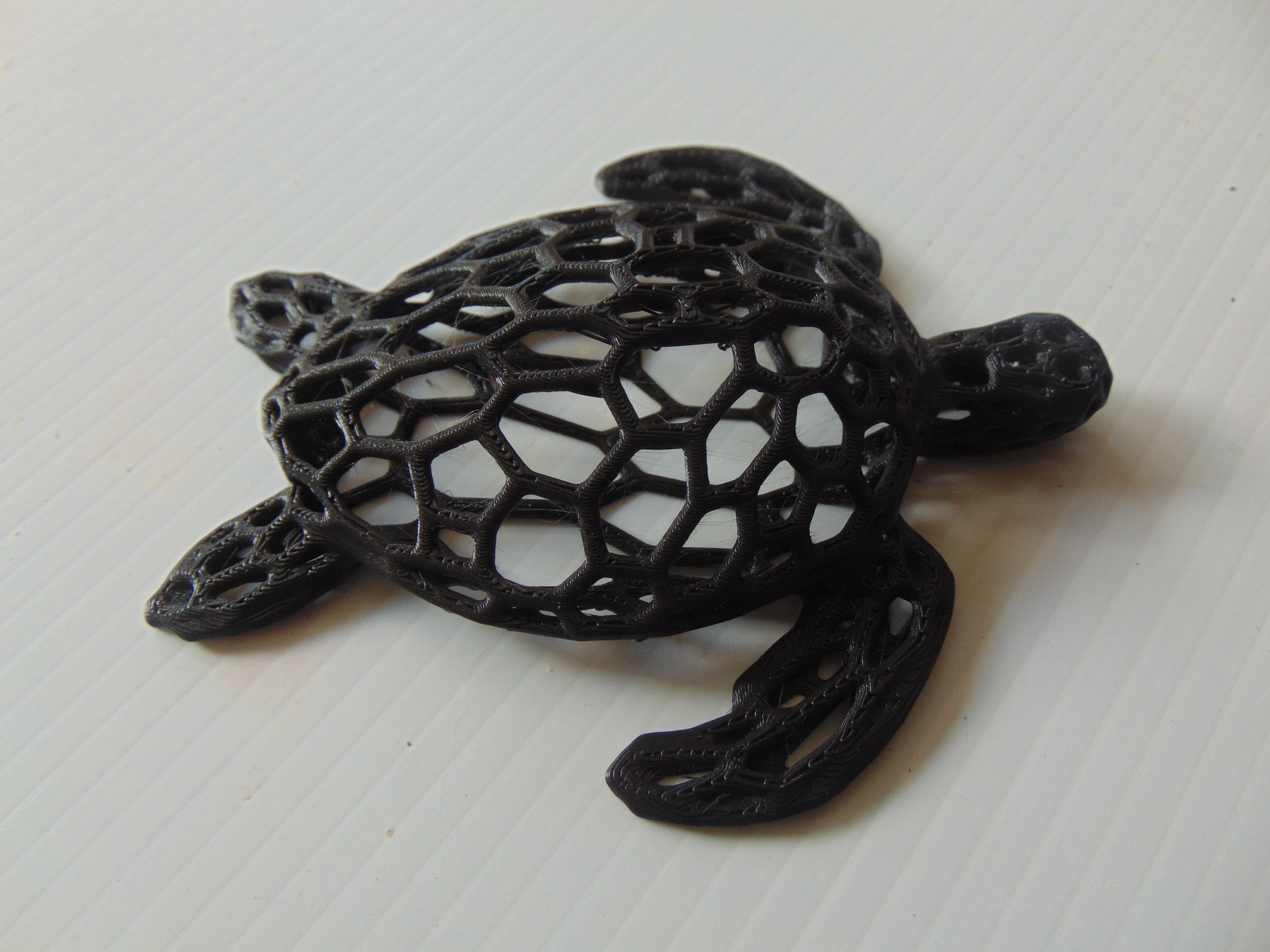 Voronoi Turtle (Medium pattern)