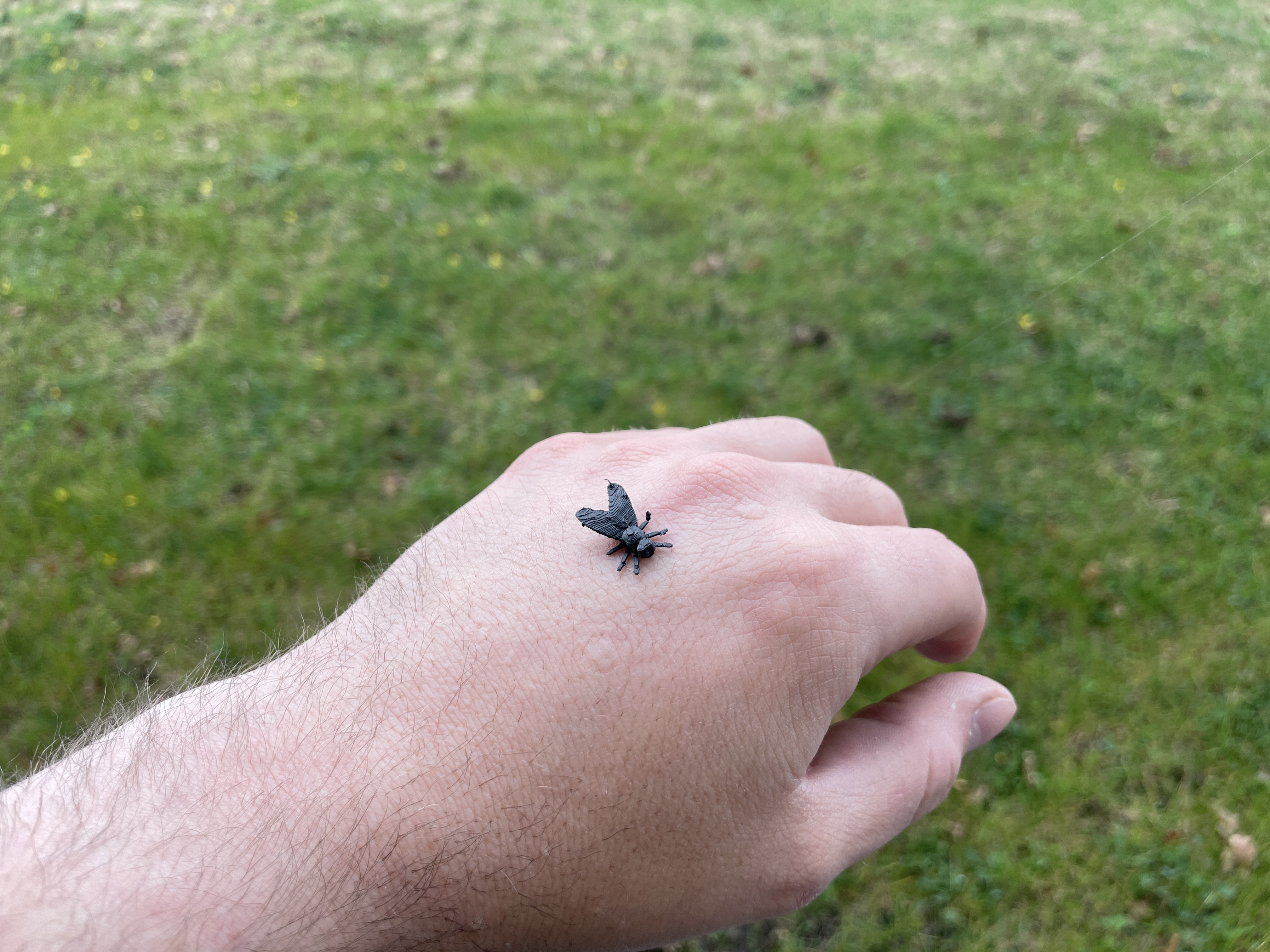 Fake Fly